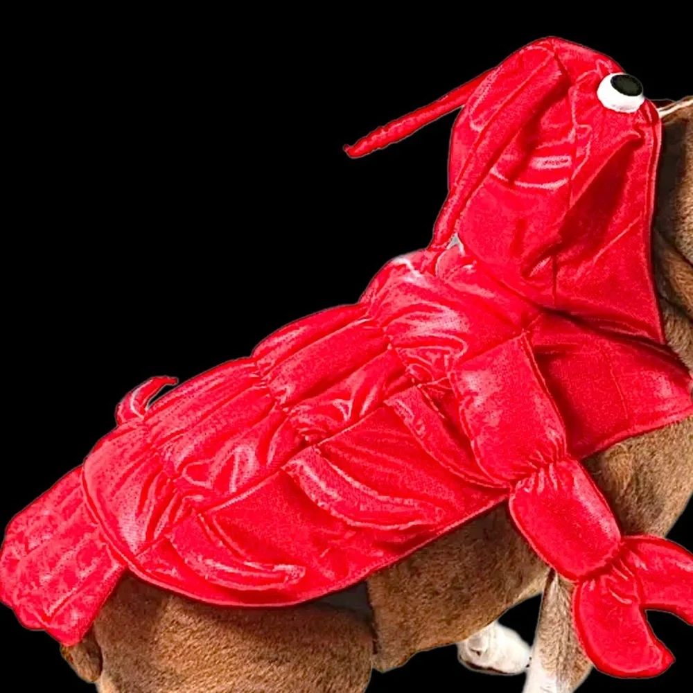 PET LOBSTER COSTUME NWT